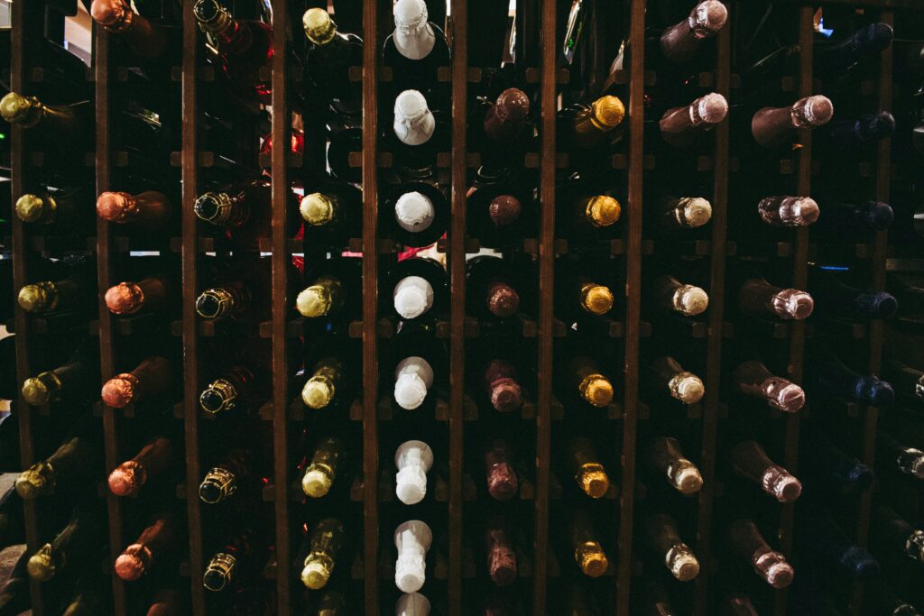 Albanian vineyards