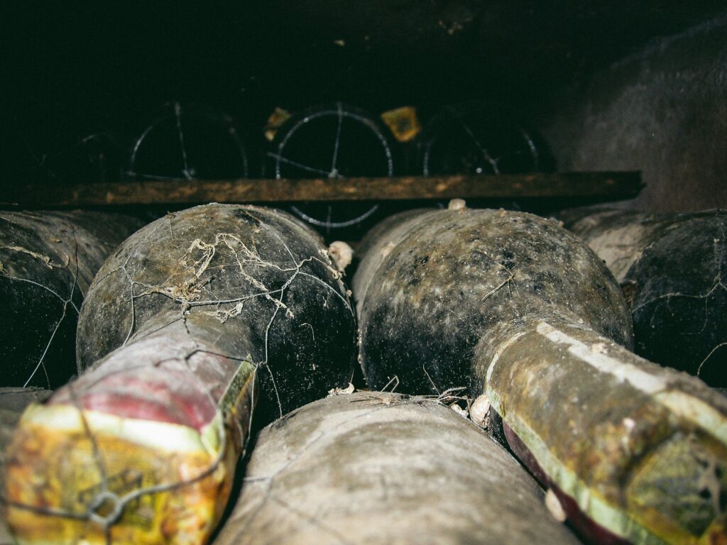 Georgian vineyards