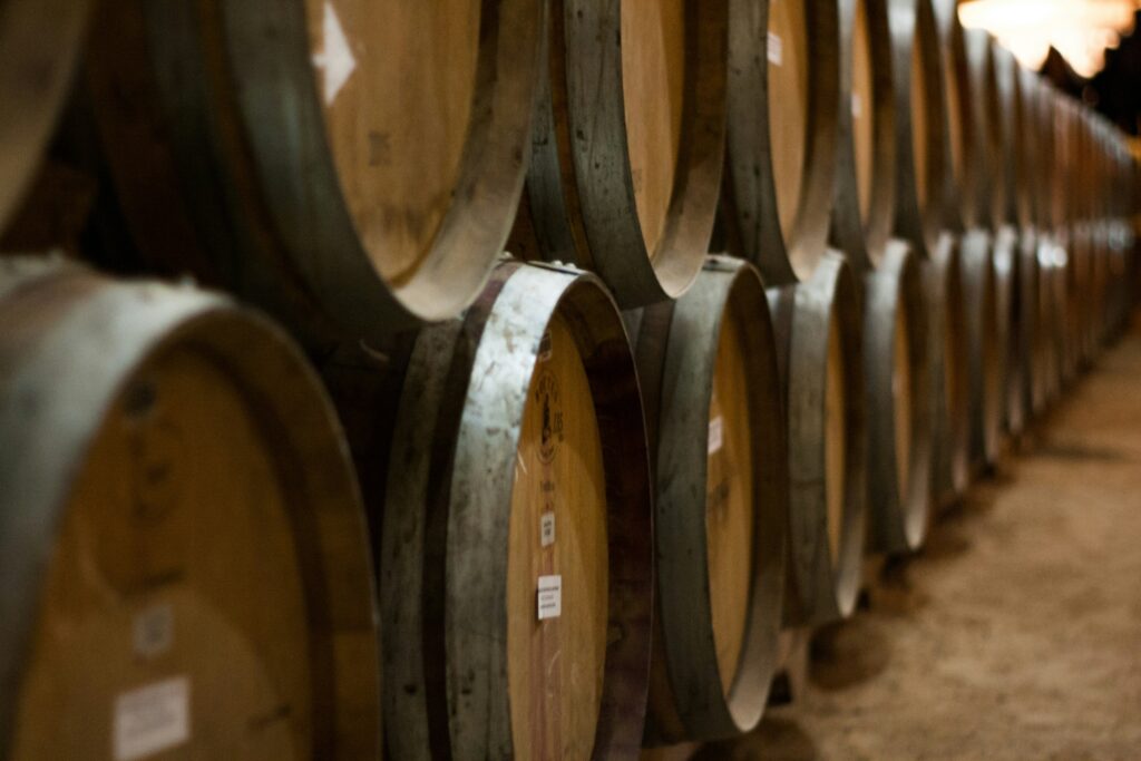Serbian vineyards